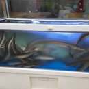 대나무 생숯 장어구이 이미지