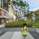 동아대 이룸 태권도 이미지