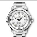 개인 / IWC 뉴 아쿠아타이머 브레이슬릿( AQUATIMER SILVER DIAL STAINLESS STEEL IW329004 ) 정리합니다 이미지