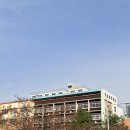 가운초등학교(병설) | 다산동 김밥맛집 찾다가 다녀온 마루삐김밥 단체주문까지 되는 솔직후기
