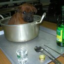 한잔어때 이미지