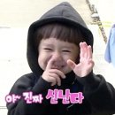 요기어때 술한잔