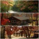 설피원