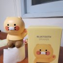 춘식이닷컴 이미지