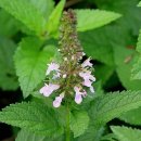 운대2리 이미지