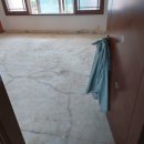 완월동101 이미지