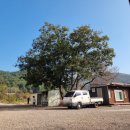 놀부오토 이미지