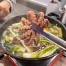 전주 쭈꾸미샤브샤브 맛집 완도수산야채막회 전주대점