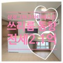 삼정더시티공인중개사사무소 | 명지국제신도시 쓰리룸 오피스텔 전세 『삼정그린코아더베스트』 (전용18평형)