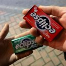 교동2길 | [대구교동맛집] &#39;영남막창&#39; : 옛날식 쫄깃한 막창, 불막창 후기