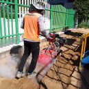 용계초교병설 이미지