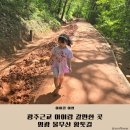 영광신발 | 광주근교 맨발 황톳길 영광물무산 아이랑 다녀온 후기