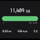 이천 롯데프리미엄아울렛세븐일레븐키즈점 | [내돈내산] 주말 이천 롯데아울렛 방문 후기ㅣ코치 슬리퍼, 나이키 세일 득템