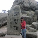 속리산말티재자연휴양림 이미지