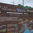 탐진사인