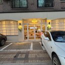 카페 만월경 남양주별내점 | 별내 애견동반카페 데일리오아시스 남양주별내점 내돈내산 솔직후기