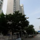 연성약국 이미지