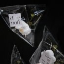 Green Colo 이미지