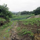 월용2리 이미지