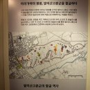 함안박물관 티스토리