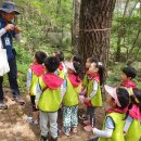 금강공원 이미지