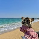 여기바다B 이미지