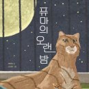 퓨마 이미지