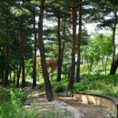 속초주막 이미지