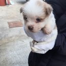 2022-00001 네이버블로그