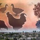 계화농장 이미지