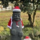 송아목장 | 제주 아이랑 가볼만한 곳 : 아침미소목장 (송아지 우유 먹이체험). 카이막