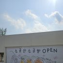 원주복숭아빵 | [원주빵집 추천] 소금산소금빵원주소금빵 맛집 후기