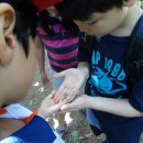 호평초등학교 이미지