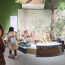 돈키호테 이미지