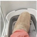 까미애견샵 이미지