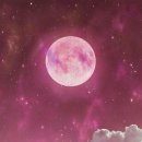 핑크달(pinkmoon)