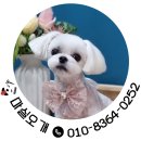 마실오개 이미지