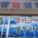 대양회센타