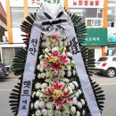 임실꽃화원 이미지