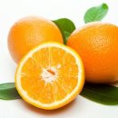 오렌지 이미지