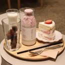 슬로우터틀