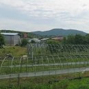 죽청1리노인회관 | 시골집 임대 촌집임대 농가주택임대 시골빈집임대 빈집정보 현황 무료임대 무상임대 월세 전세 년세...