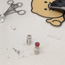 보비동물병원 | 부평 산곡동 보비 동물 병원 추천(여러 동물 병원 다닌 찐 후기)