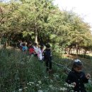 도당초등학교 이미지