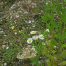 삼돈농장 이미지