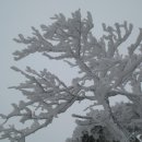 창촌민박 이미지