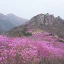 향기로운주유소 이미지