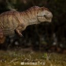 트리케라톱스-1 이미지