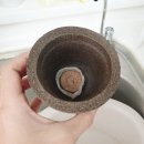 크레용팟