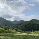 금순이농장 이미지